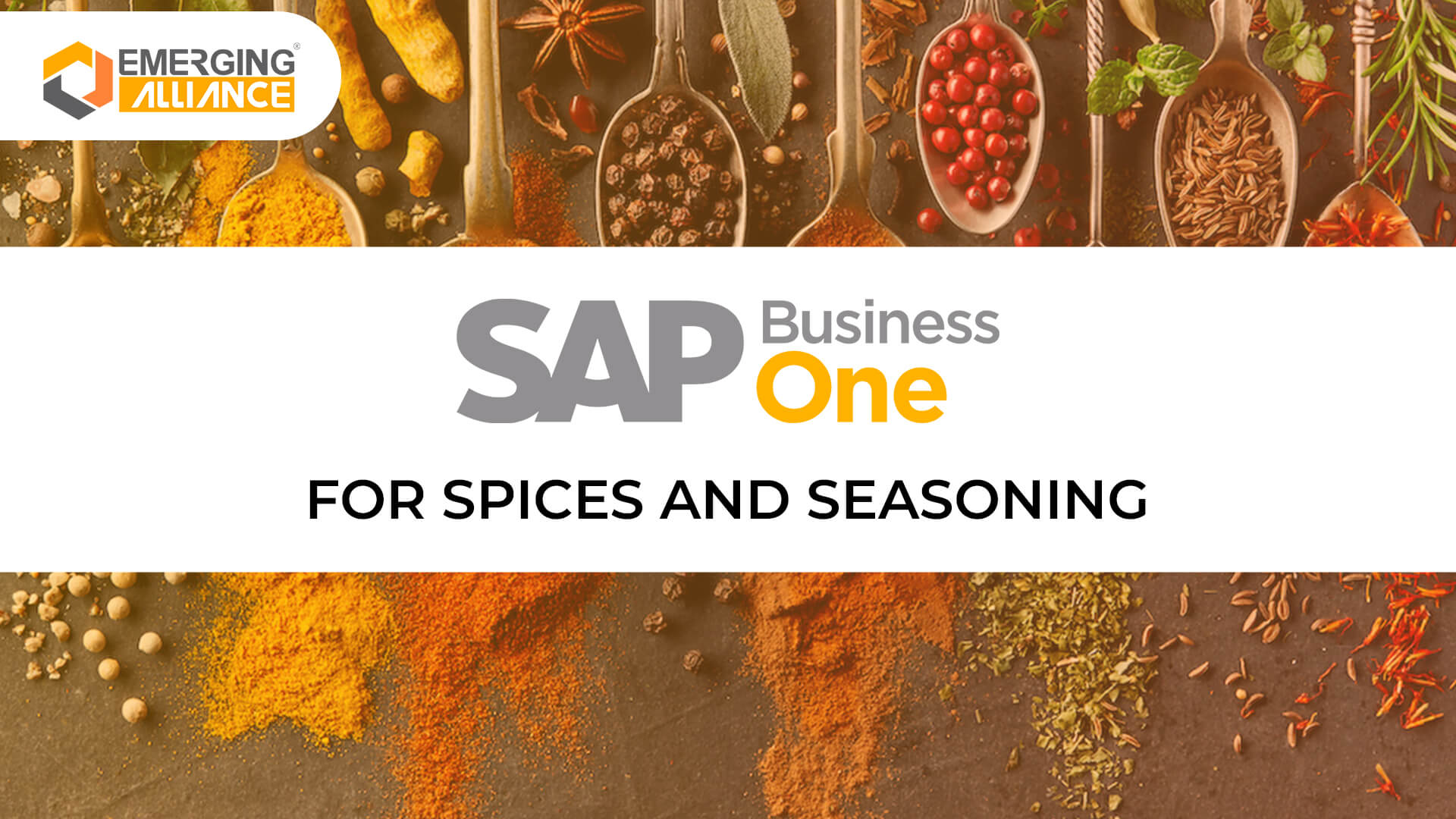 sap business one for spices and seasoning