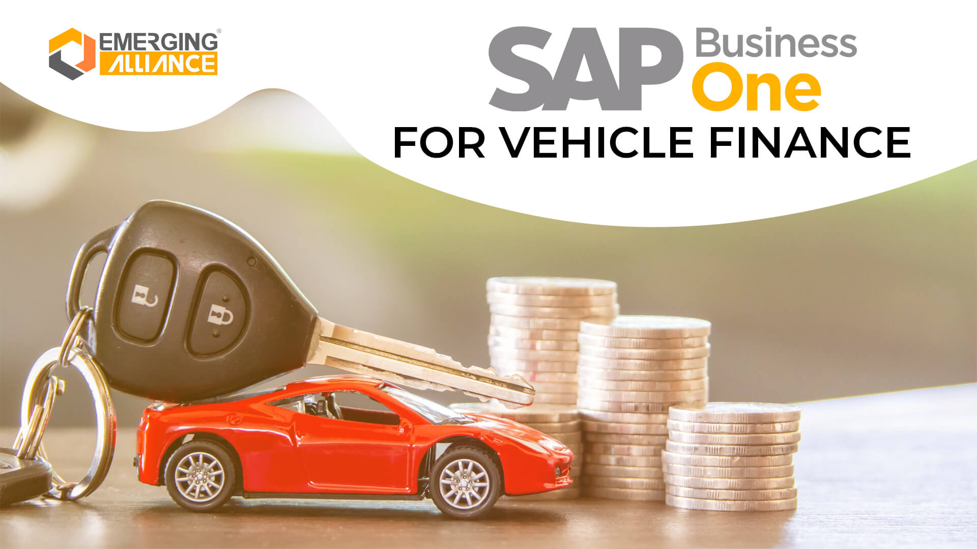 SAP Business One for vehicle finance