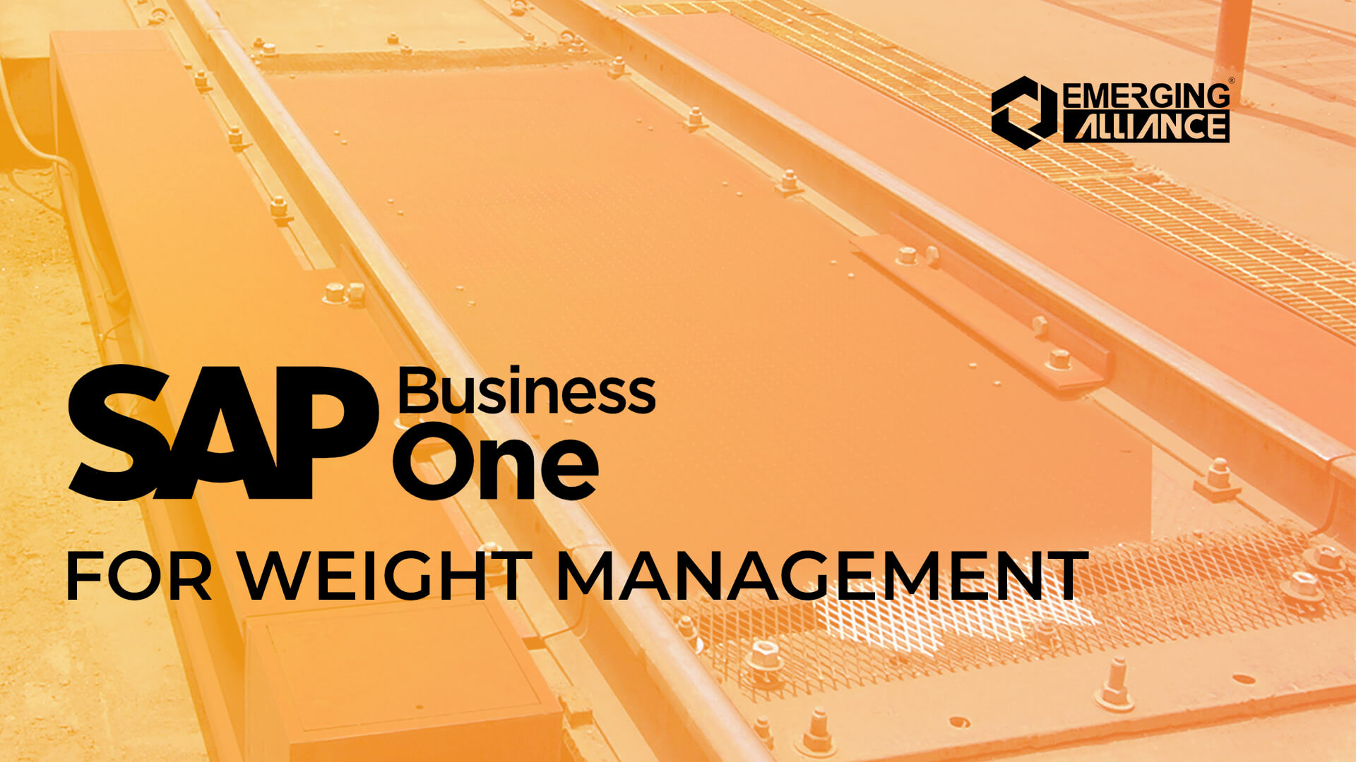 SAP Business One for weight management