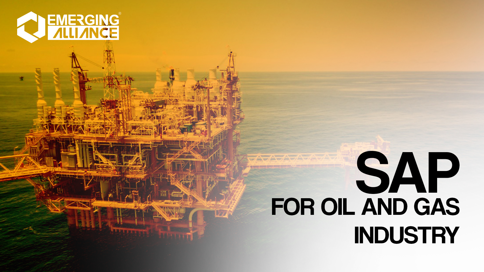 SAP for Oil and Gas Industry