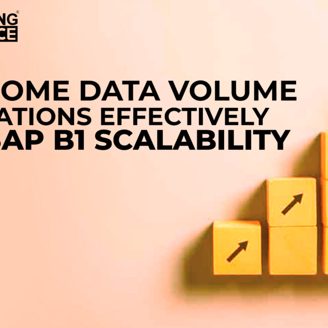 SAP B1 Scalability Data Volume Limitations