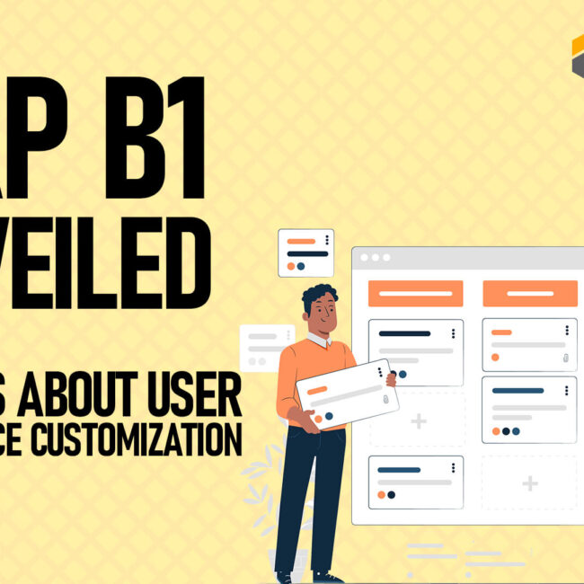 SAP B1 User Interface Customization