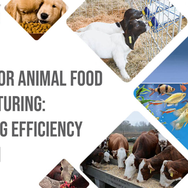 SAP Software for Animal Food Manufacturing enhancing efficiency and growth