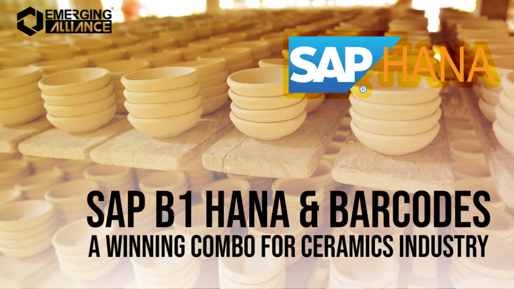 SAP B1 HANA & Barcodes for ceramics industry