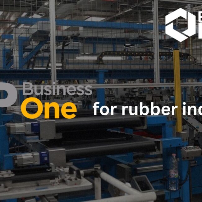 SAP B1 ERP| SAP Business One for the Rubber Industry