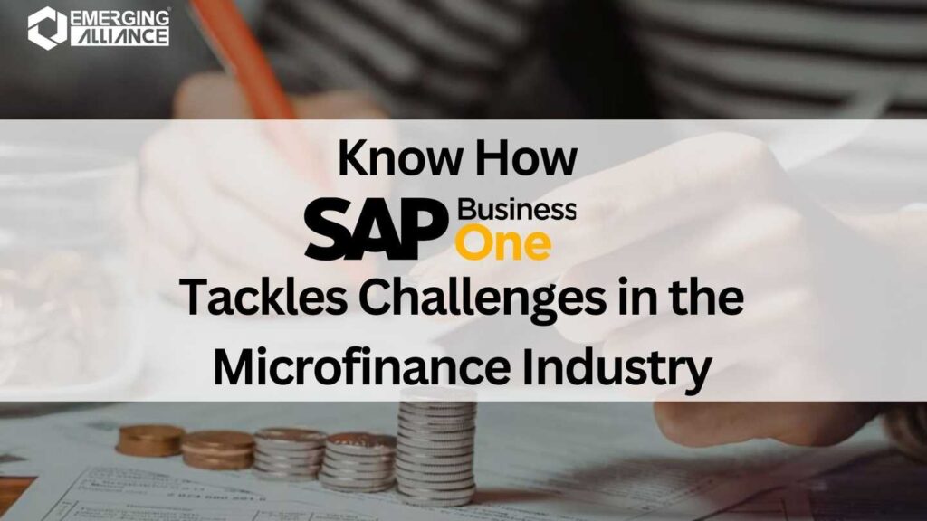 Know How SAP B1 Tackles Challenges in the Microfinance Industry