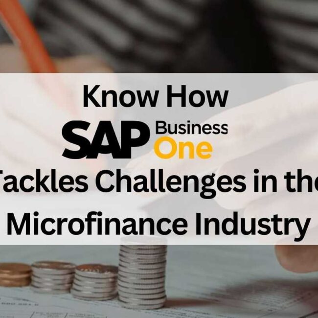 Know How SAP B1 Tackles Challenges in the Microfinance Industry