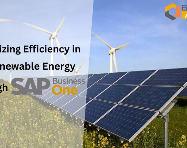 Maximizing Efficiency in the Renewable Energy Industry through SAP B1