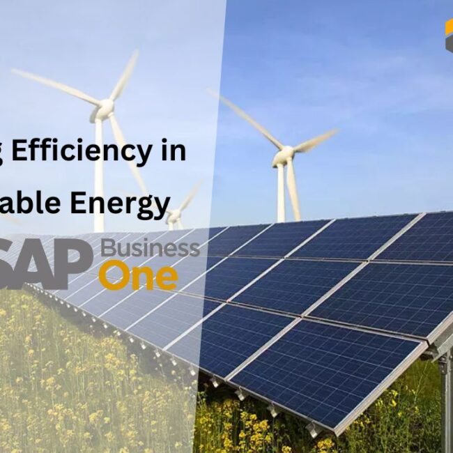 Maximizing Efficiency in the Renewable Energy Industry through SAP B1