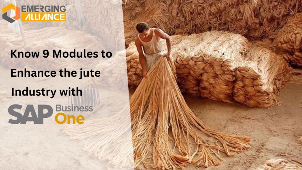 Know 9 Modules to Enhance the Jute Industry with SAP B1 ERP
