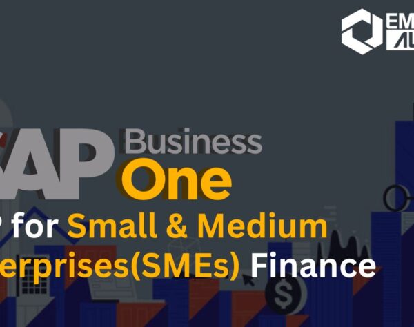 SAP B1 ERP for Small and Medium Enterprises finance