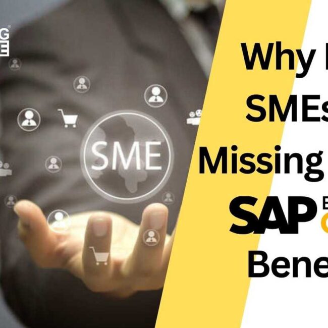 Why Most SMEs Are Missing Out on SAP B1 Benefits?