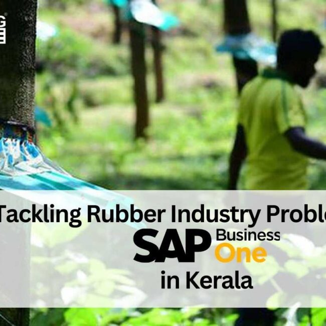 Tackling Rubber Industry Problems with SAP Business One (B1) in Kerala