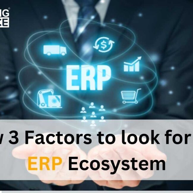 Know 3 Factors to look for in an ERP Ecosystem