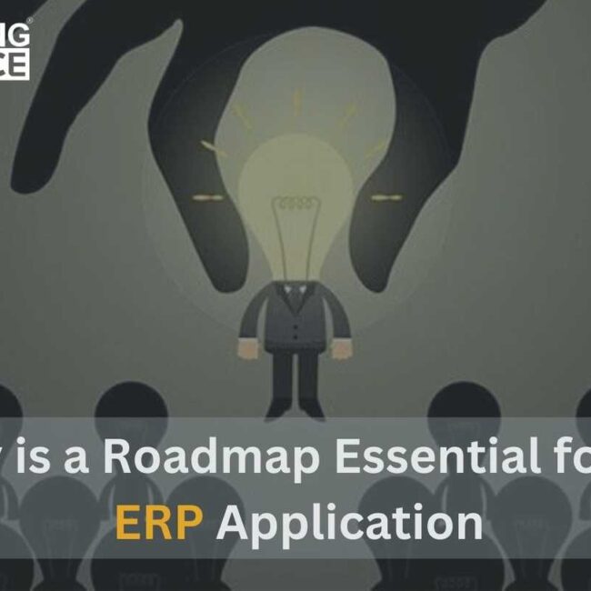 Why is a Roadmap Essential for an ERP Application