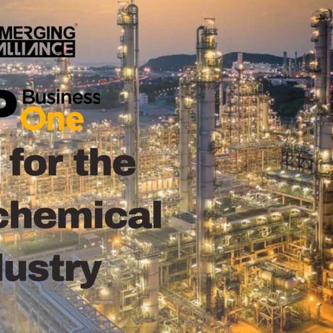 SAP Business One / SAP B1 ERP for the Petrochemical Industry