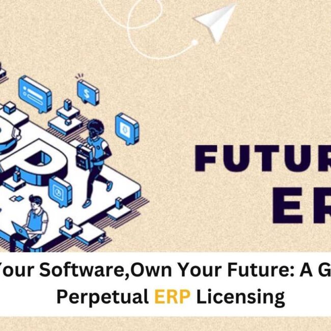 Own Your Software, Own Your Future: A Guide to Perpetual ERP Licensing   