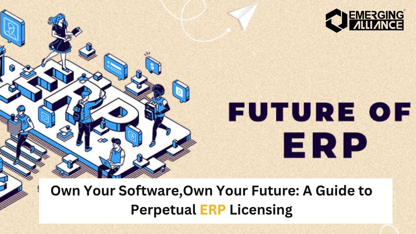 Own Your Software, Own Your Future: A Guide to Perpetual ERP Licensing   