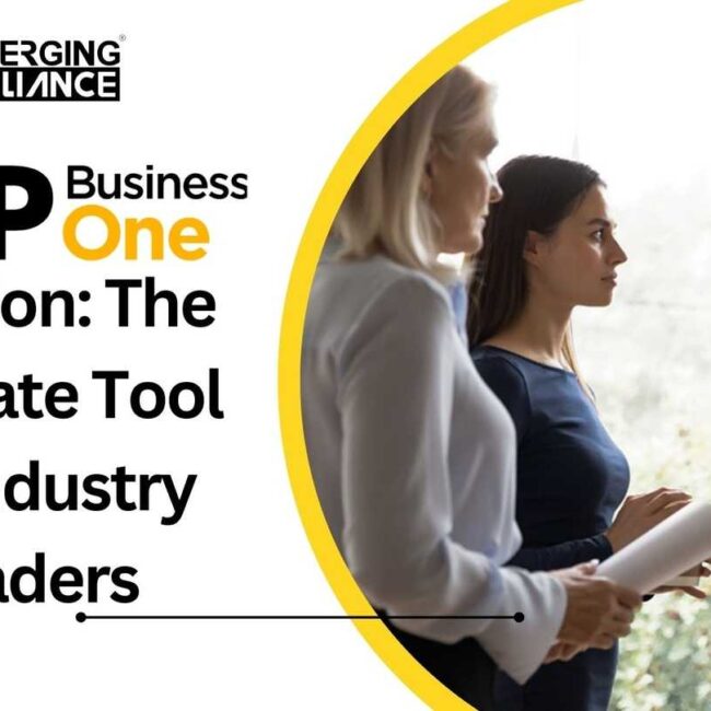 SAP Business One Solution: The Ultimate Tool for Industry Leaders