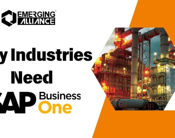 Why Industries Need SAP Business One