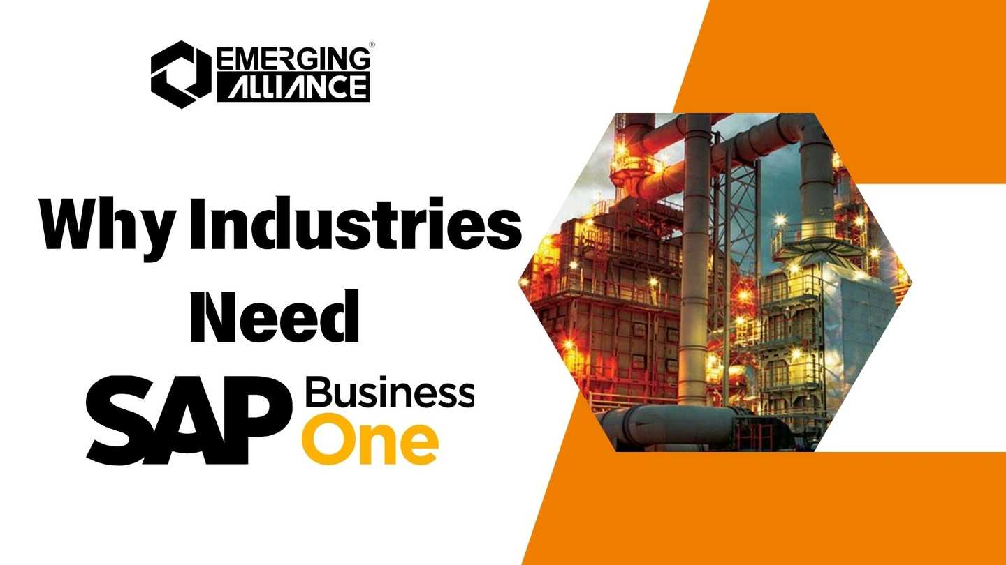 Why Industries Need SAP Business One