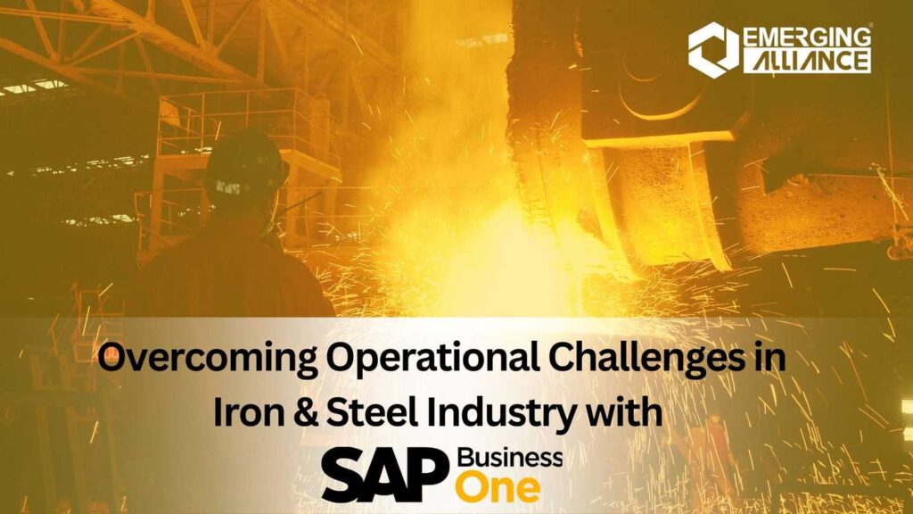 Overcoming Operational Challenges in Iron & Steel Industry with SAP B1