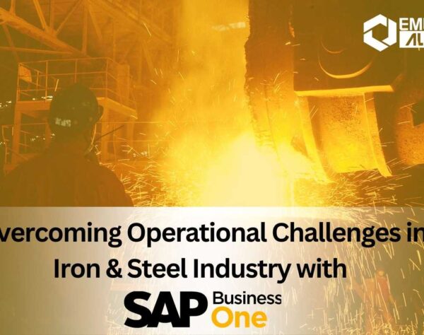 Overcoming Operational Challenges in Iron & Steel Industry with SAP B1