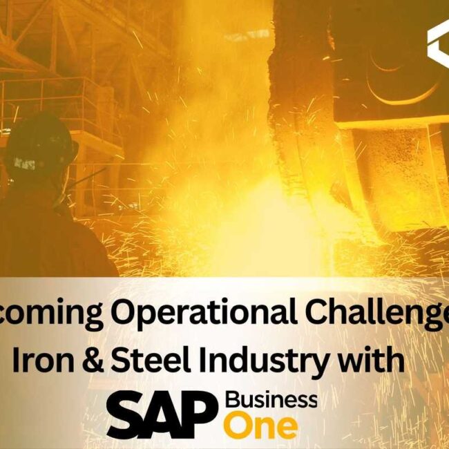 Overcoming Operational Challenges in Iron & Steel Industry with SAP B1