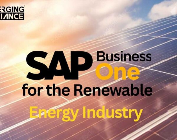 SAP Business One for the Renewable Energy Industry