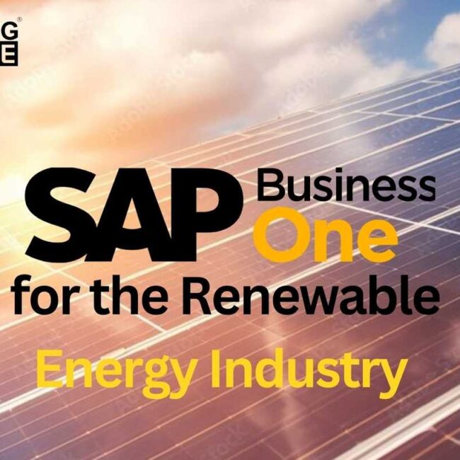 SAP Business One for the Renewable Energy Industry