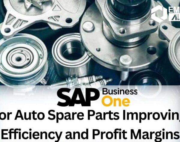 SAP Business One for Auto Spare Parts Improving Efficiency and Profit Margins