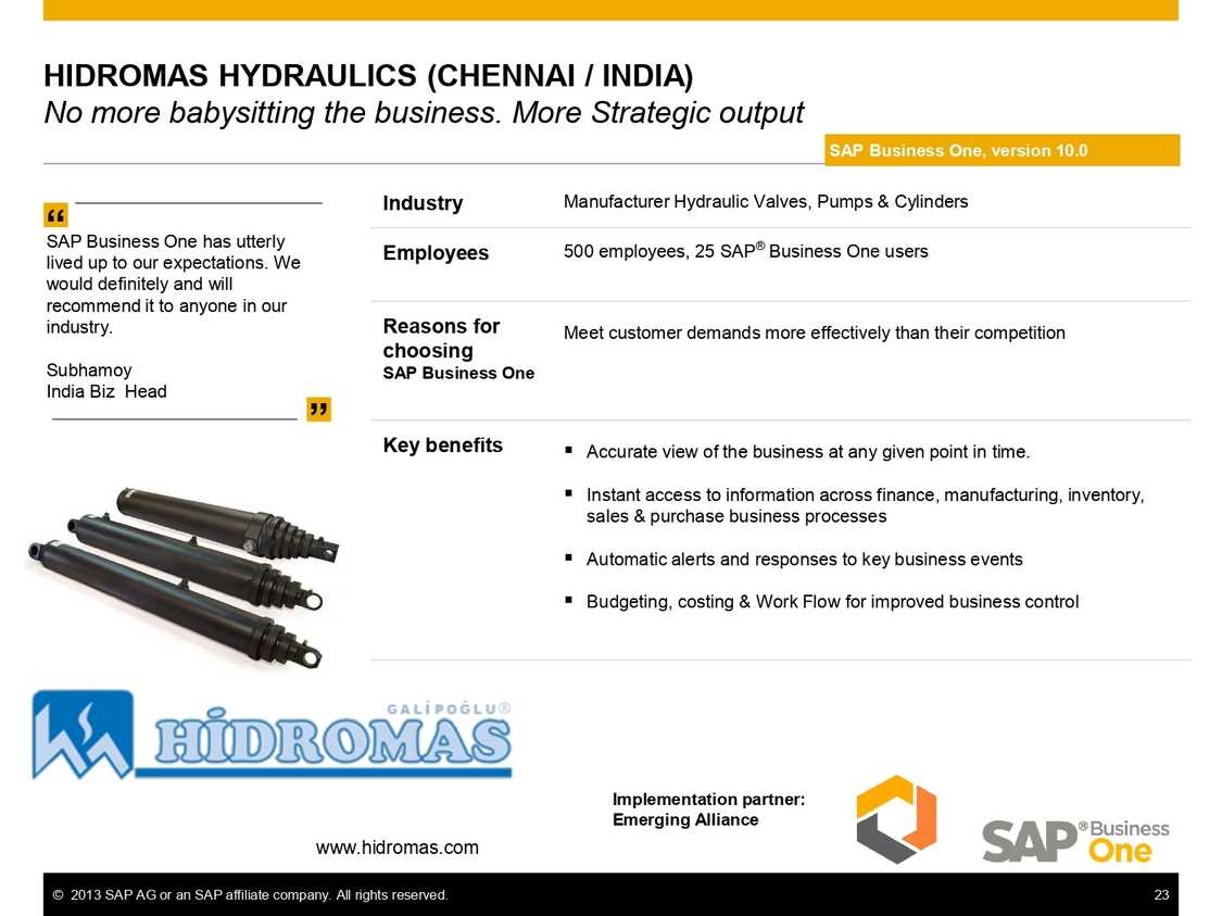 Strategic output with SAP B1 in Manufacture Industry