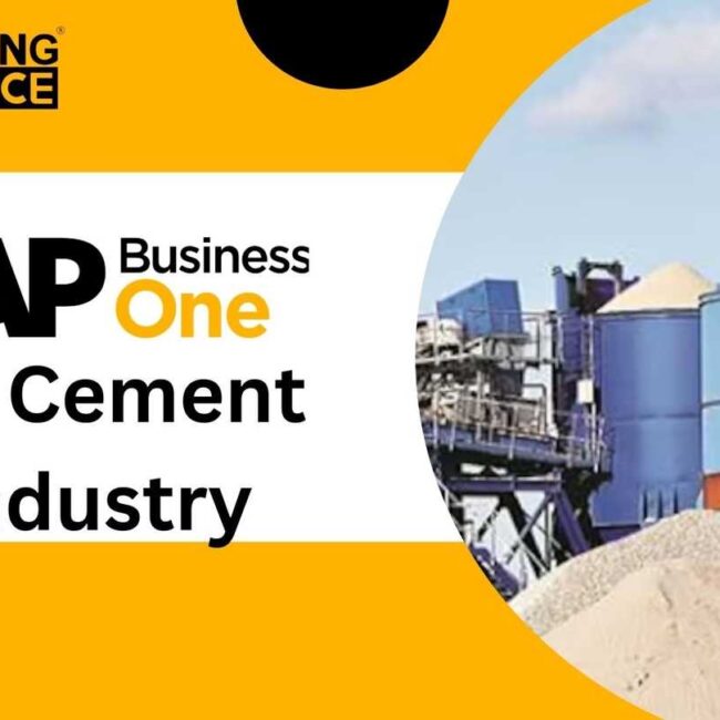 SAP Business One (B1) for Cement Industry