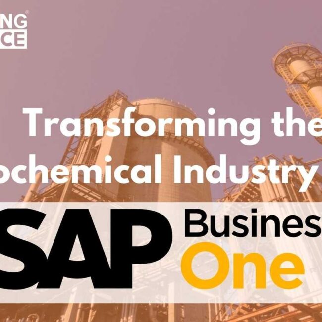 Transforming the Petrochemical Industry with SAP Business One ( B1 )