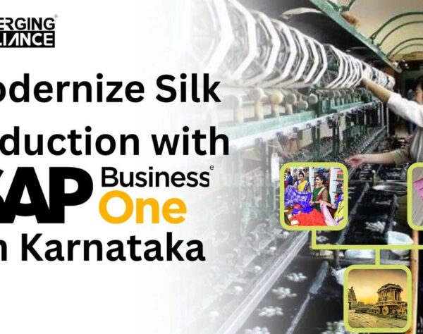 Modernize Silk Production with SAP Business One In Karnataka