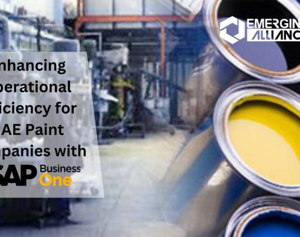 Enhancing Operational Efficiency for UAE Paint Companies with SAP B1