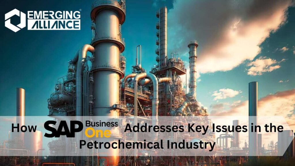 How SAP Business One Addresses Key Issues in the Petrochemical Industry