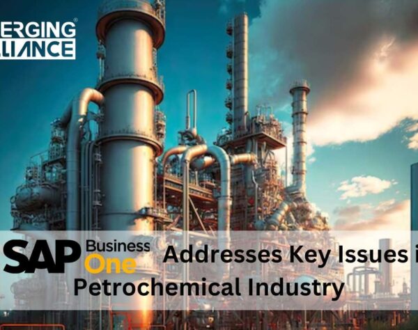 How SAP Business One Addresses Key Issues in the Petrochemical Industry