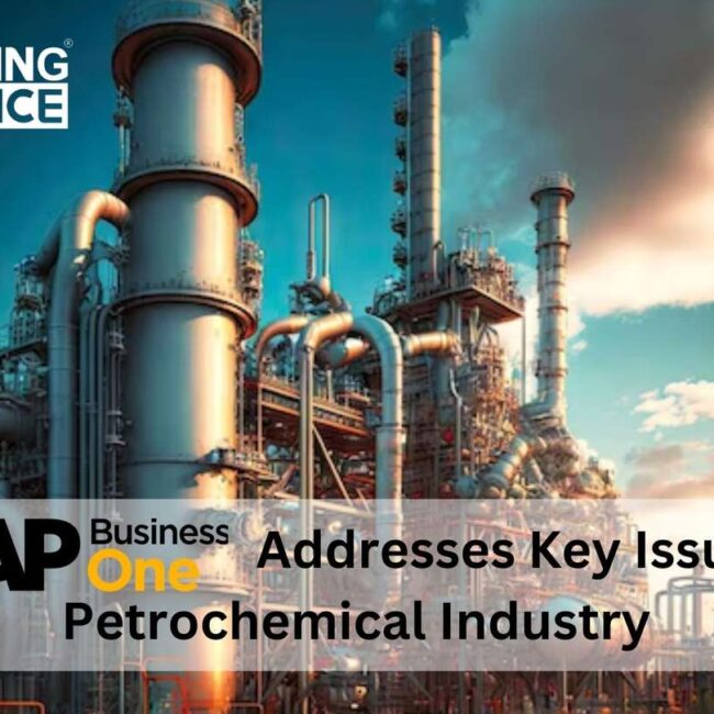 How SAP Business One Addresses Key Issues in the Petrochemical Industry