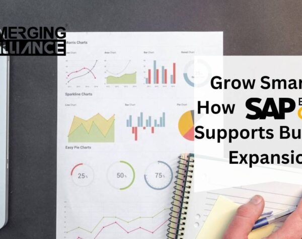 Grow Smarter: How SAP B1 Supports Business Expansion