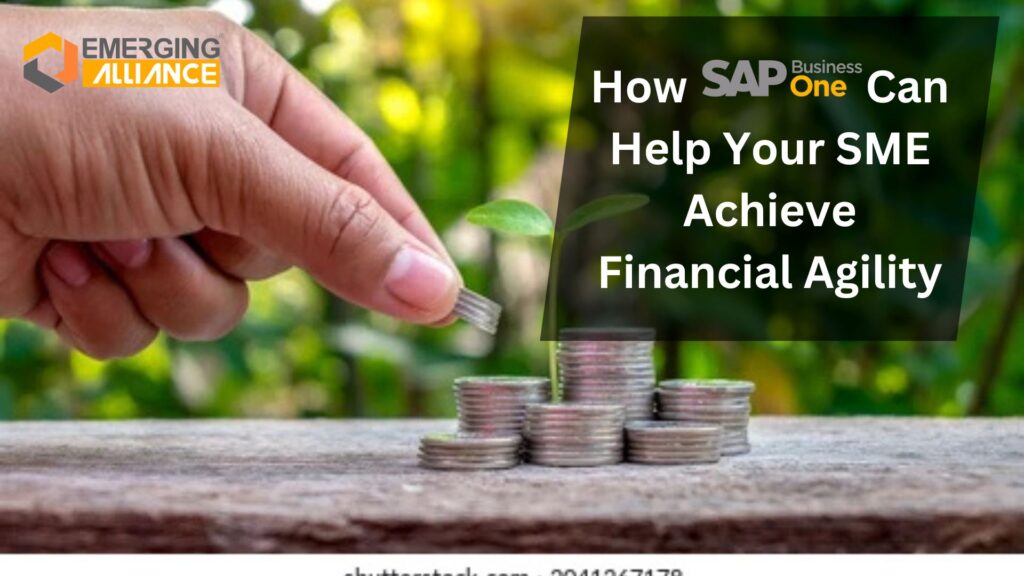 How SAP B1 Can Help Your SME Achieve Financial Agility