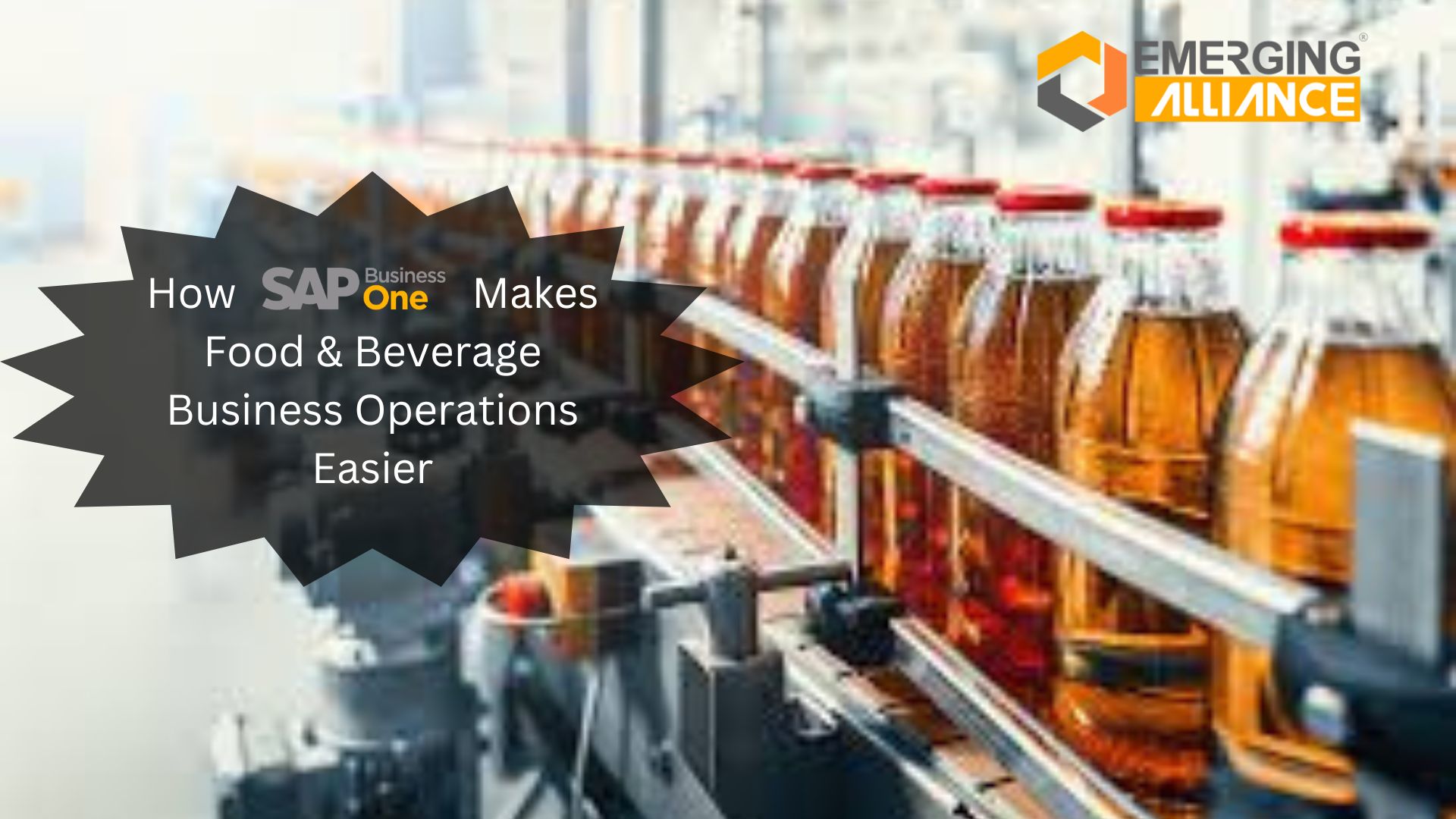 How SAP B1 Makes Food & Beverage Business Operations Easier