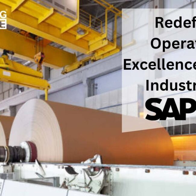 Redefining Operational Excellence in Paper Industry with SAP B1