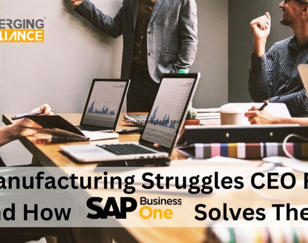 5 Manufacturing Struggles CEO Face and How SAP B1 Solves Them