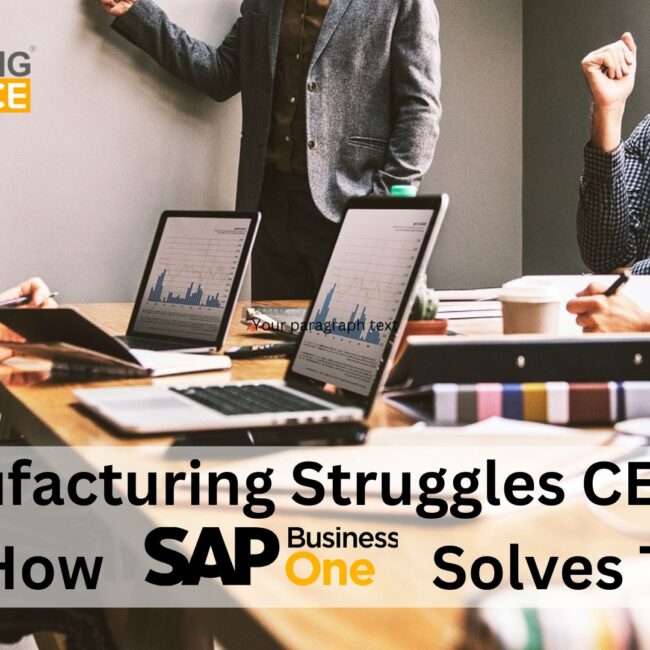 5 Manufacturing Struggles CEO Face and How SAP B1 Solves Them