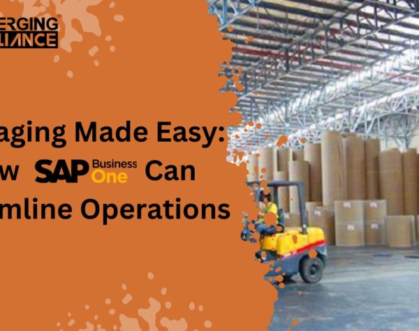 Packaging Made Easy: How SAP B1 Can Streamline Operations