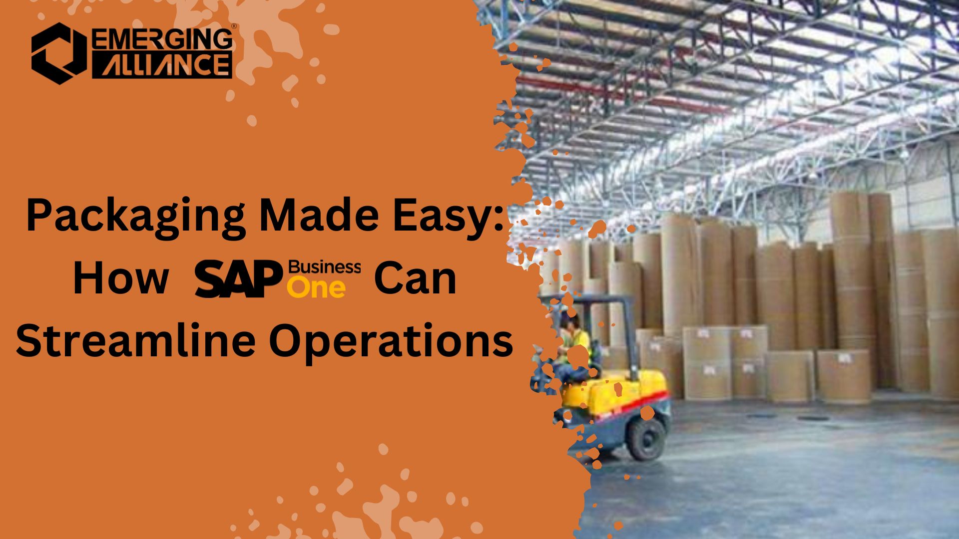 Packaging Made Easy: How SAP B1 Can Streamline Operations