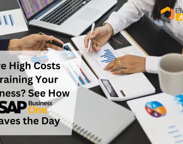 Are High Costs Draining Your Business See How SAP B1 Saves the Day