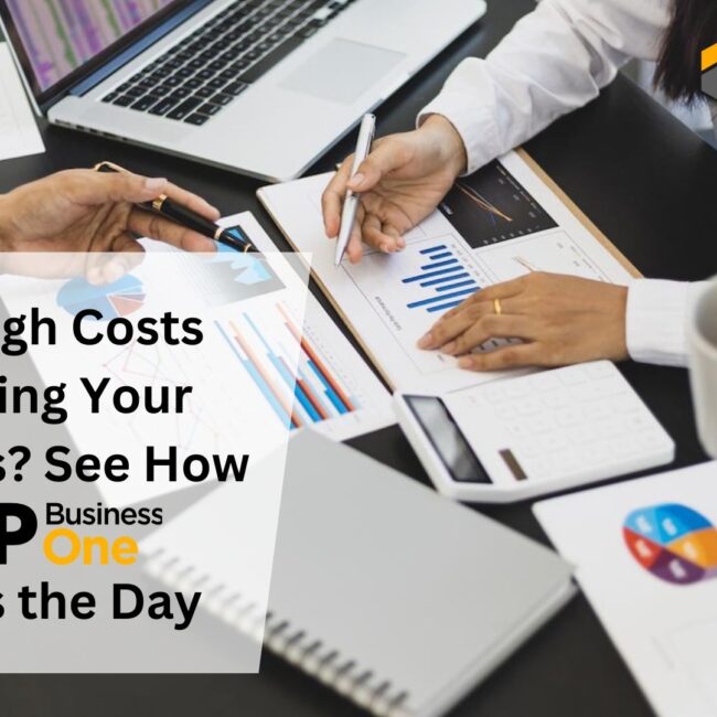 Are High Costs Draining Your Business See How SAP B1 Saves the Day