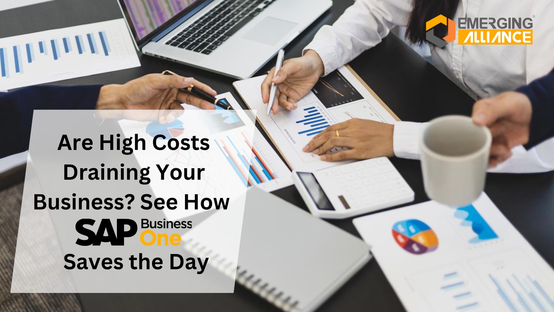 Are High Costs Draining Your Business See How SAP B1 Saves the Day